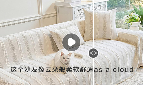 视频文字翻译